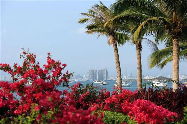 1574845718112218.jpg 微信圖片_20191127170628.jpg