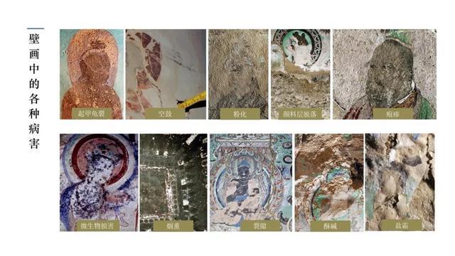 1576143246507387.jpeg 55e736d12f2eb938a4df882e4e816730e7dd6fa1.jpeg